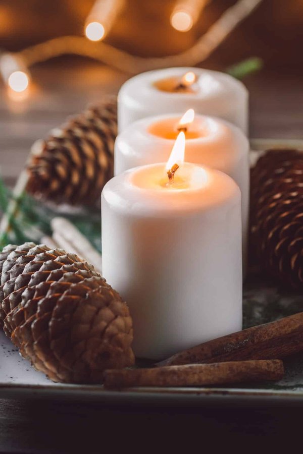 How Can You Create a Cozy Balcony Escape with Potted Bamboo for Privacy?