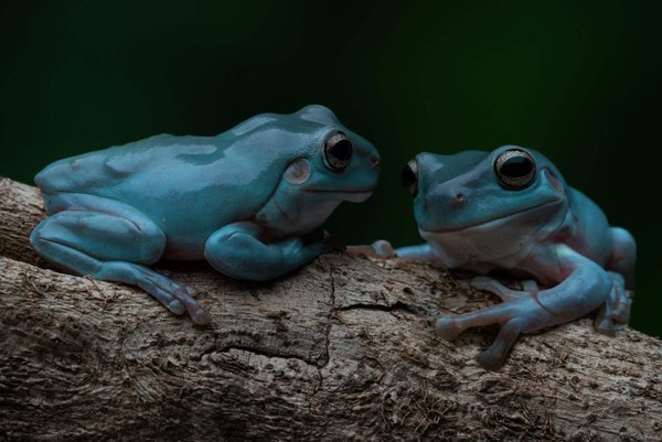 What's the Best Approach for Styling a Monochrome Suit with a Pop of Color?